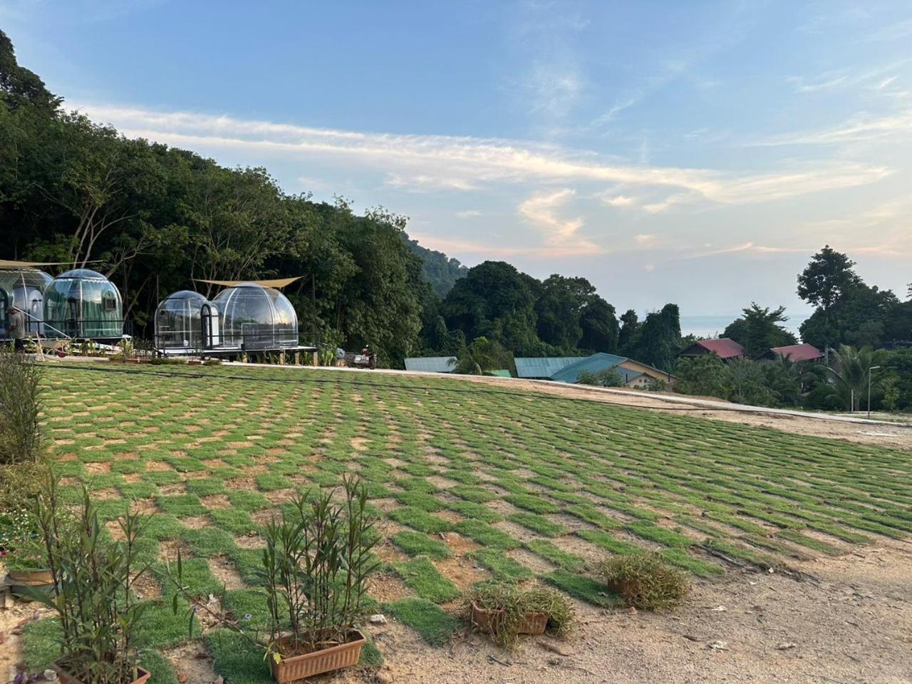 Dnamie Glamping - Lux Tent Pulau Perhentian Kecil Exterior foto